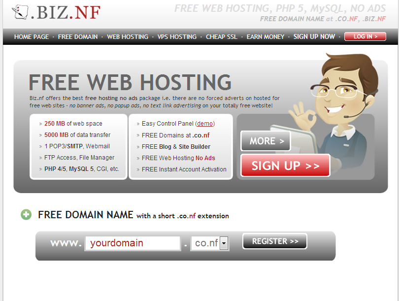 biz.nf hosting reviews